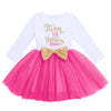 Winter Birthday Outfit Girl My Second Birthday Mini Dress Up Cake Smash Outfit Baby Tulle Tutu Skirt Autumn Long Sleeve Mouse 2N