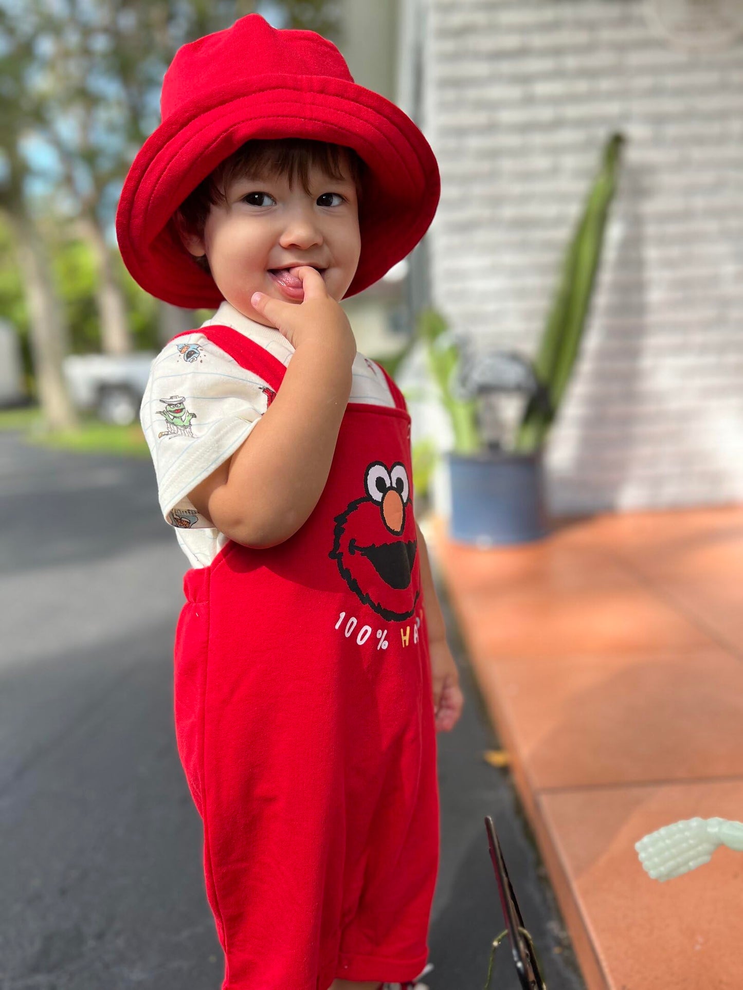 Sesame Street Elmo Toddler Boys French Terry Short Overalls T-Shirt And Hat 3 Piece Outfit Set Red/White 3T