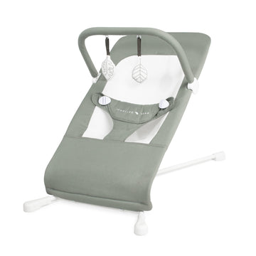 Baby Delight Highland Organic Baby Bouncer | Infant | 0 - 6 Months | 3-Position Recline | Organic Sage