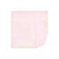 Hudson Baby Unisex Baby Flannel Cotton Washcloths, Modern Botanical 10 Pack, One Size