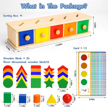 Montessori Toys Wooden Color & Shape Sorter Toys for Toddlers 1-3 Matching Box Sorting Blocks Manipulatives Preschool Learning A