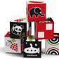 FIRST SENSES 6 CUBES SET
