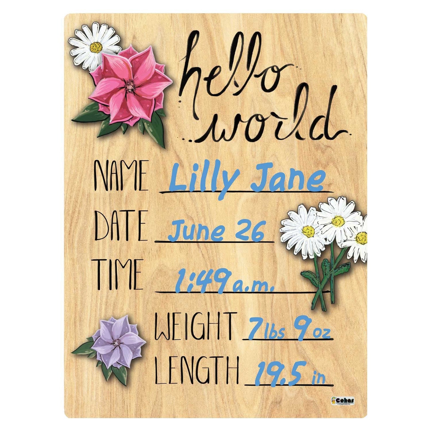 Cohas Hello World Newborn Baby Announcement Printed Wood Sign With Mixed Flower Theme, 9 By 12 Inches, No Marker