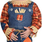 Tiny Scarecrow Costume Kit - Baby 12-24 Months, Multicolor - 1 Set
