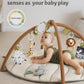 Blissful Diary Baby Play Gym & Activity Mat, Leaf Shaped Baby Play Mat With 6 Detachable Toys, Tummy Time Mat Promote Motor Skil