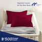 Toddler Travel Small Pillowcase 14X20 Burgundy Set Of 2 Zipper Closure 500 Thread Count 100% Soft Egyptian Cotton Decorative Nur