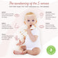 Sophie la girafe, Fresh Touch | Handcrafted for 60 Years in France | Natural Rubber | Designed for Teething Babies | Awaken All