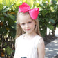 Oaoleer 40Pcs 8' Hair Bows Clips Grosgrain Ribbon Bows Hair Alligator Clips Hair Barrettes Hair Accessories For Baby Girls Infa