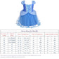 Dressy Daisy Princess Costumes Birthday Fancy Halloween Xmas Party Dresses Up for Toddler Girls with Accessories Size 2T