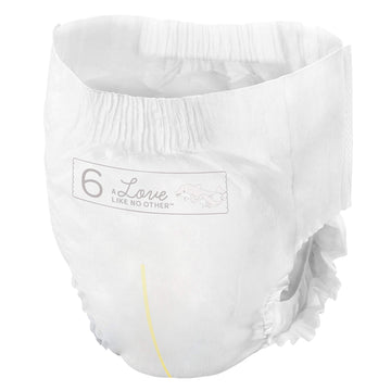 Bambo Nature Premium Training Pants (Sizes 4 To 6 Available), Size 6, 95 Count
