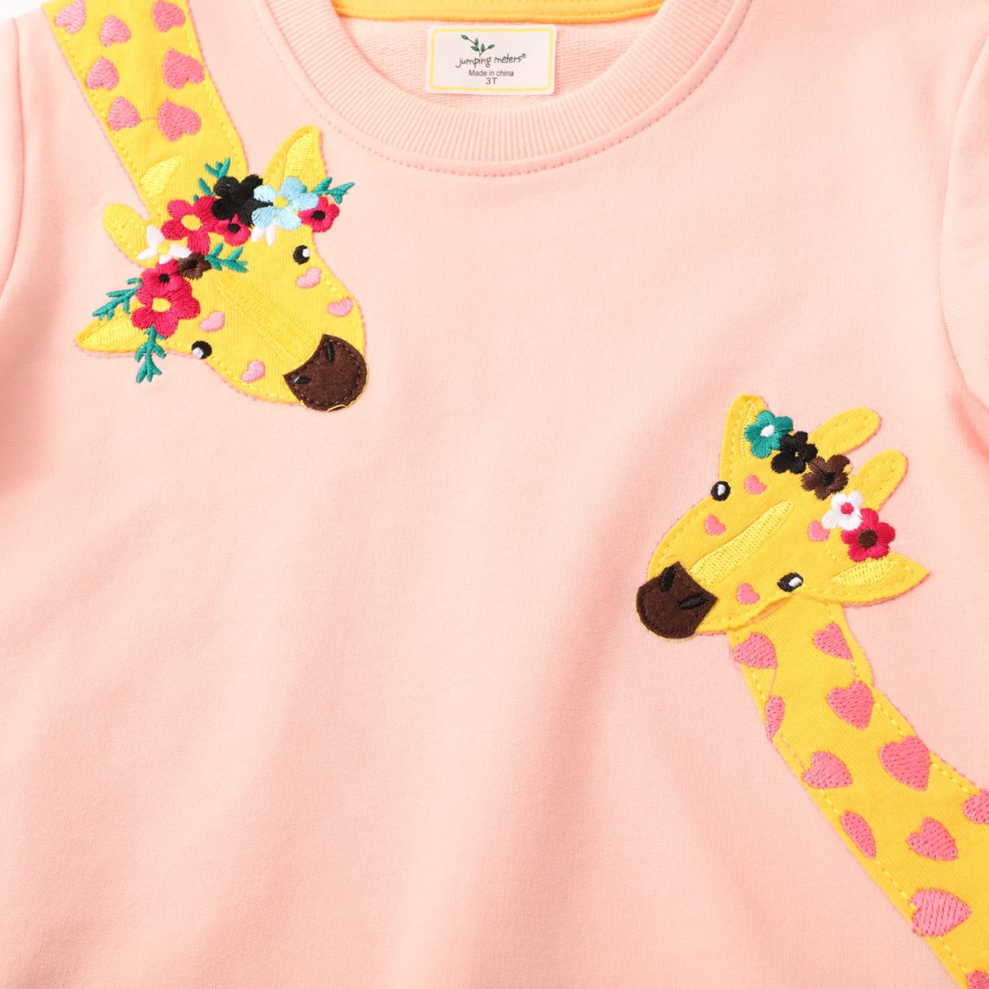 Giraffe Sweatshirt Girls Long Sleeve Crewneck Pullover Toddler Animal Shirts Kids Winter Warm Sweater Tops 4T