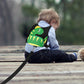 Accmor Toddler Harness Leash + Anti Lost Wrist Link, Cute Dinosaur Kids Harness With Leash, Adorable Child Harness Leash Wristba