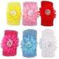 CINEX | 6 Pieces | Hair Accessory Adorable Baby Girls and Kids Hair band Random color