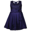 Wish Karo Baby Girls Dress Frock(Fe2644Nbnw_Navy Blue_612Mths)