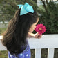 C  Llot 40 Pieces 6 Inch Hair Bows For Girls Clips Grosgrain Ribbon Boutique Hair Bow Alligator Clips For Girls Teens Toddlers K