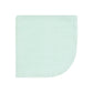 Hudson Baby Unisex Baby Flannel Washcloths, Eucalyptus 12Pk, One Size