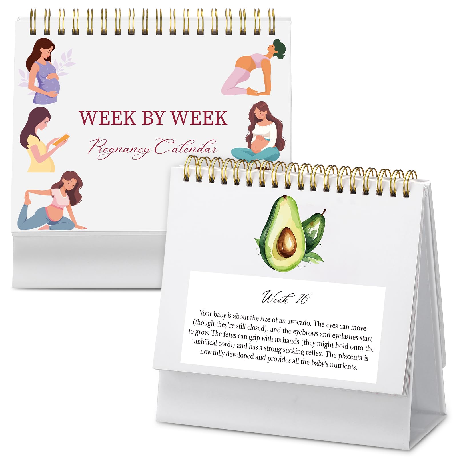 Gueevin Pregnancy Calendar Weekly Pregnancy Milestone Calendar with Scripture Pregnant Gifts for Expecting Mom, Baby Growth Trac