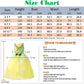 Tyhtym Princess Tiana Costume For Girls Princess And The Frog Cosplay Dress Up Toddler Halloween Birthday With Accessories (Gree