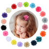 NUOSYI 20PCS 2 Chiffon Flower Baby Girls Hair Bows Clips Cute Hair Accessories For Newborns Infants Toddlers Kids Women