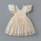 2Bunnies Girl Paisley Lace Back A-Line Tutu Tulle Party Flower Girl Dress (All Lace Flutter Sleeve Knee-Ivory, 3T)