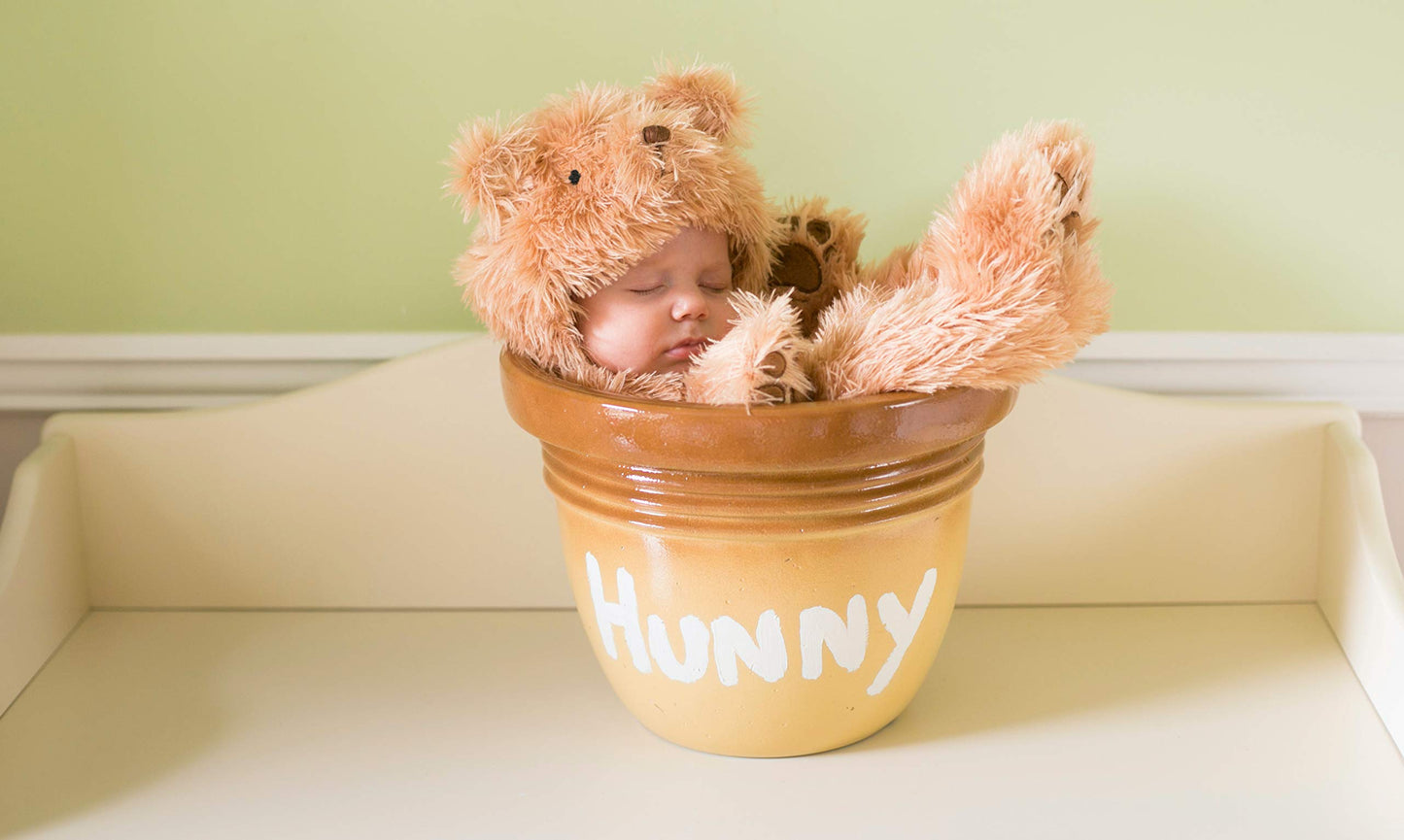 Princess Paradise Baby Snuggle Bear Deluxe Costumes, Tan, 3 To 6 Months Us