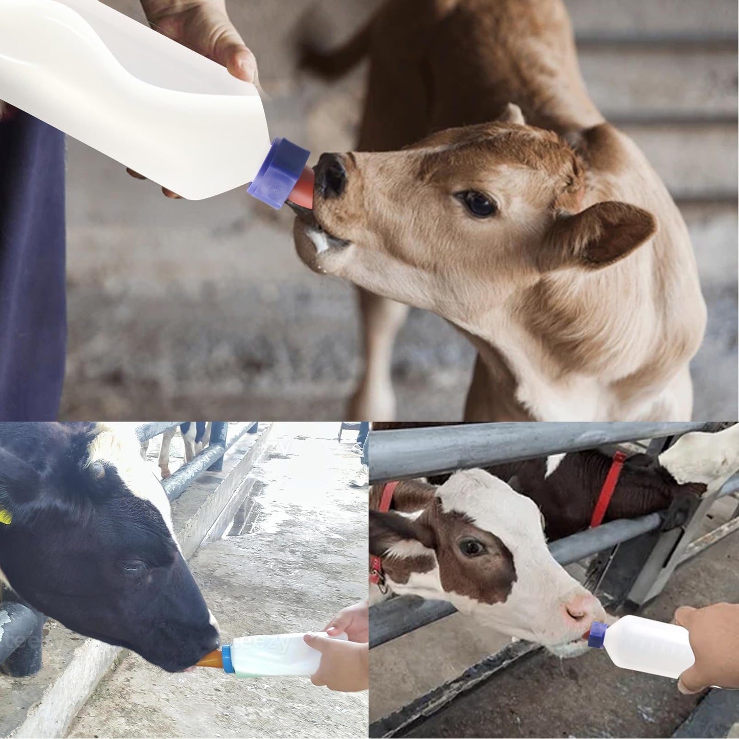 1 Quart Calf Milk Feeder Bottle Screw-On Calf Nursing Set Of Bottle With Nipple & Cap