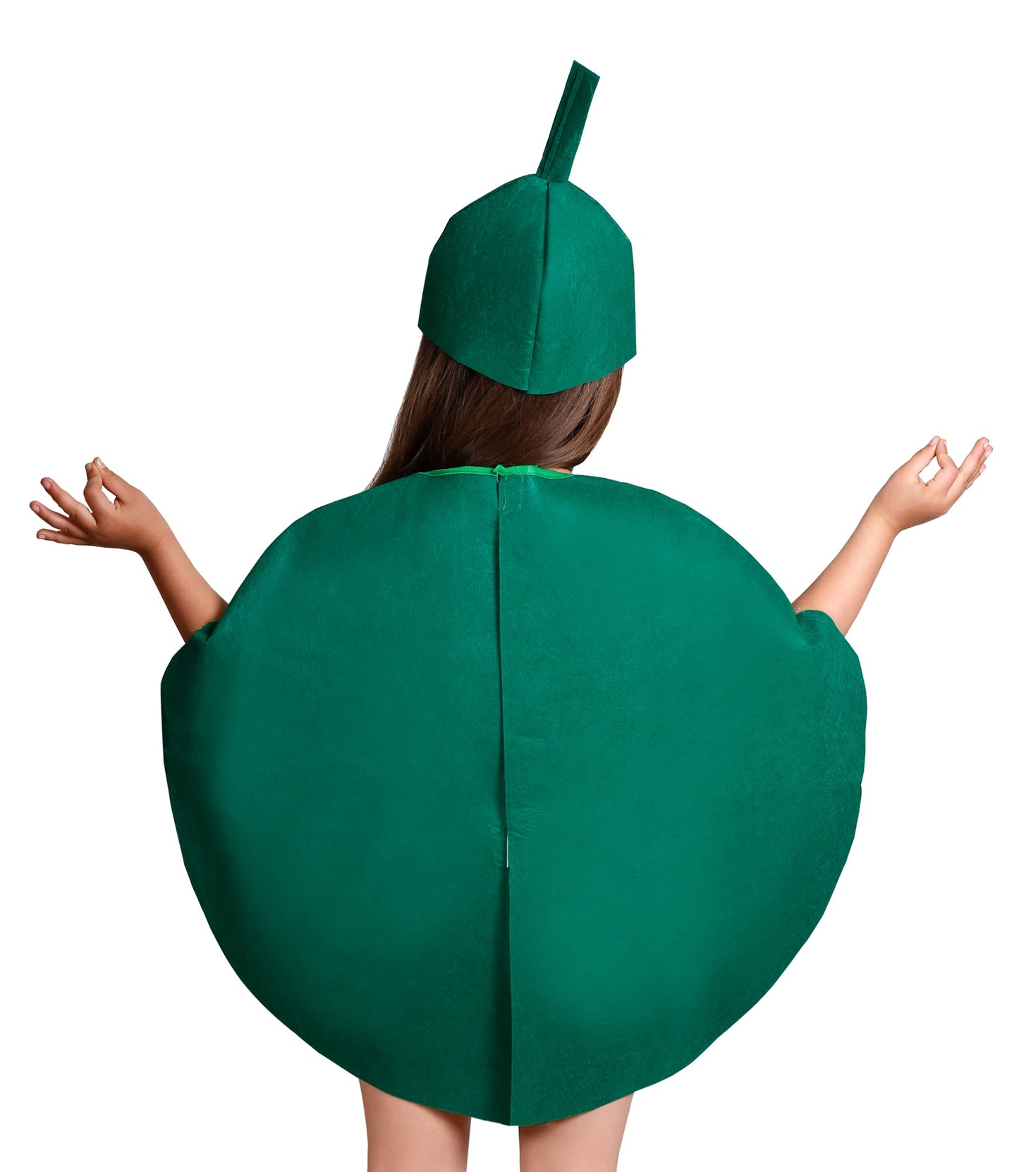 Matissa Kids Fruits Vegetables And Nature Costumes Suits Outfits Fancy Dress Party Boys And Girls (Watermelon)