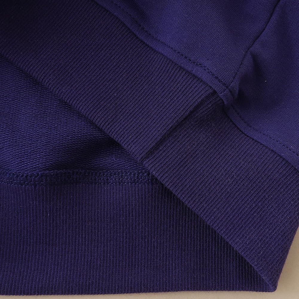 Girls Owl Sweatshirt Long Sleeve Crewneck Animal Shirt Toddler Fall Winter Outfits Kids Cotton Blue Sweaters Tops 8T