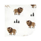Hudson Baby Unisex Baby Flannel Cotton Washcloths, Wild Buffalo 12 Pack, One Size