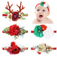 Cinaci 5 Pack Delicate Floral Flower Nylon Headbands Hair Bands Christmas Hair Accessories For Baby Girls Newborns Infants Toddl
