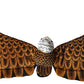 Rhode Island Novelty Eagle Plush Costume Wings One Pair
