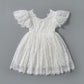 2Bunnies Girl Paisley Lace Back A-Line Tutu Tulle Party Flower Girl Dress (All Lace Flutter Sleeve Knee-White, 6)