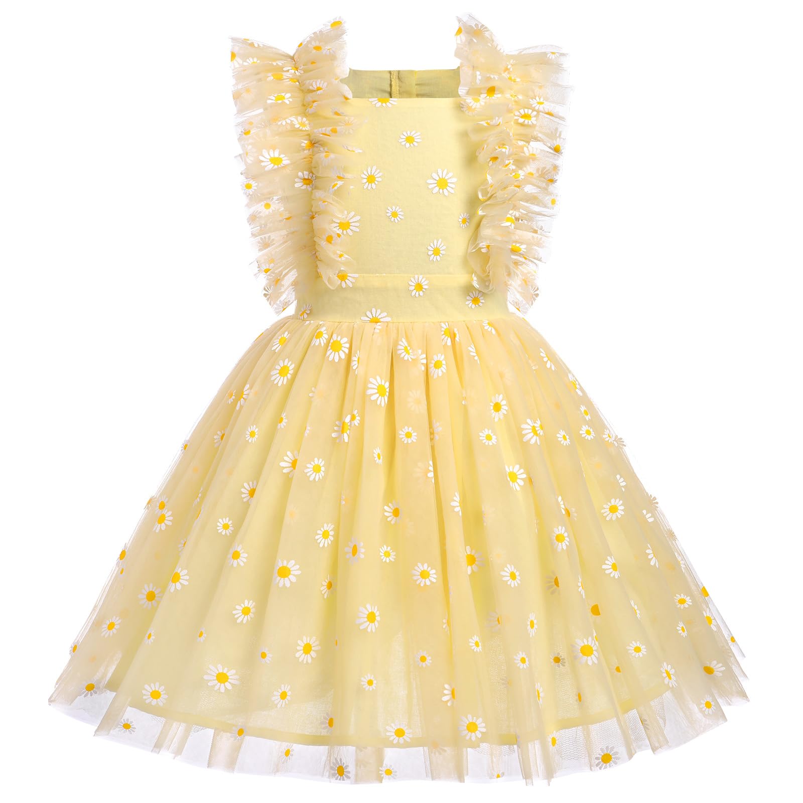 Gifts For One Year Old Girl, Princess Tutu Toddler Birthday Dress Infant Ruffled Flower Embroidered Special Occasion Photoshoot