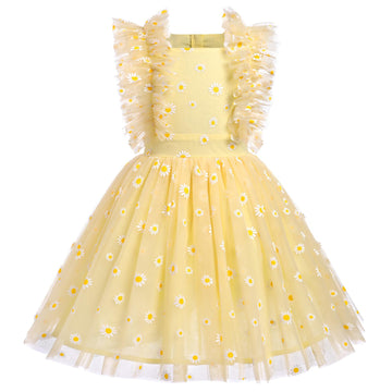Gifts For One Year Old Girl, Princess Tutu Toddler Birthday Dress Infant Ruffled Flower Embroidered Special Occasion Photoshoot