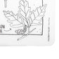 Modern-Twist 10 X 14' Reusable, Waterproof Coloring Mark-Mat Sheet For Kids, 100% Food-Grade Silicone, Pack Of 1, Dangerous Pla