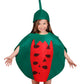 Matissa Kids Fruits Vegetables And Nature Costumes Suits Outfits Fancy Dress Party Boys And Girls (Watermelon)