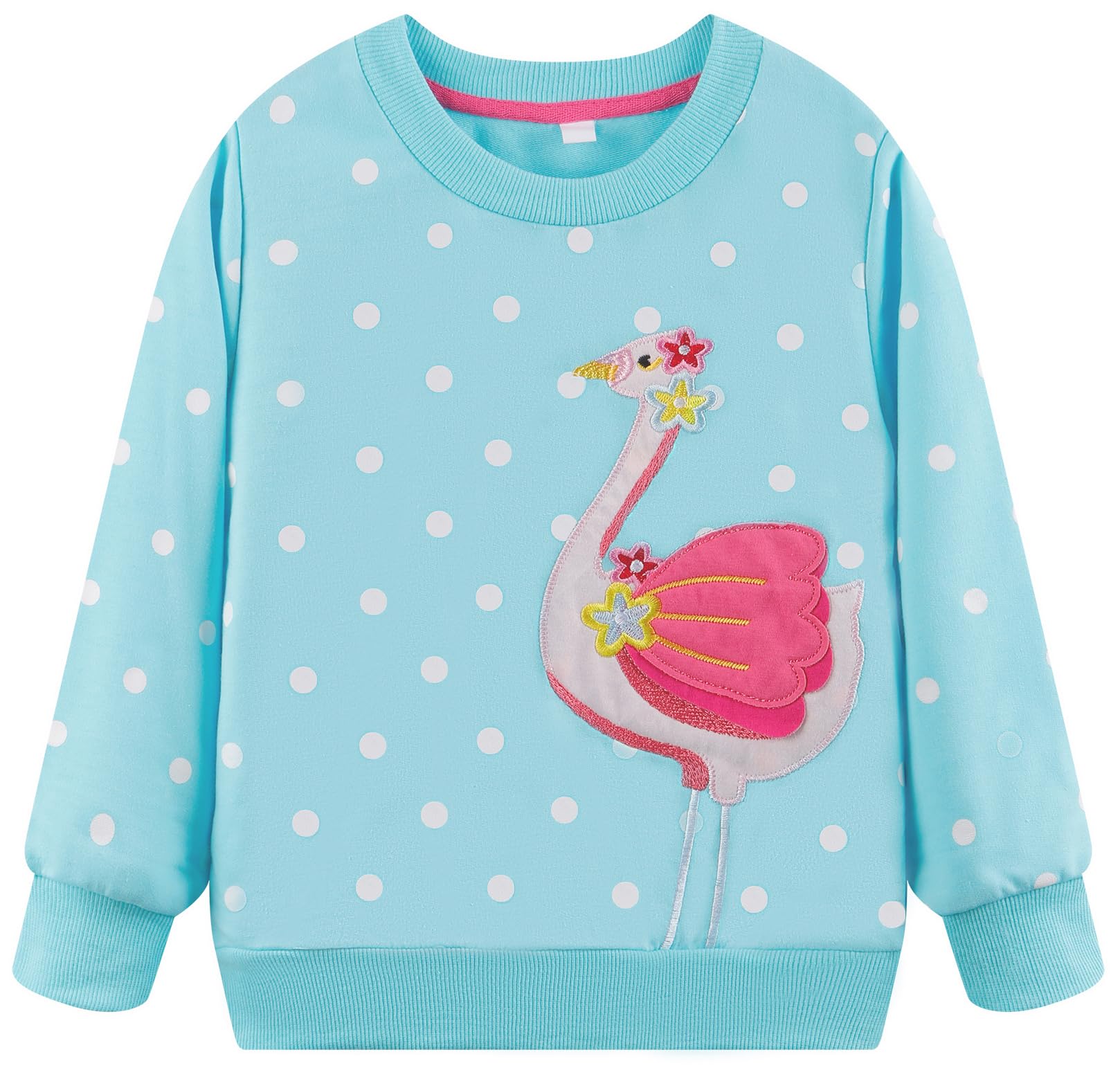 Akyzic Little Girl Sweatshirt Flamingo Long Sleeve Crewneck Blue Shirt – Cutebab WBBAPB0DCZJSLDS