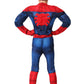 Marvel Spider-Man Toddler Costume Large (12-14)