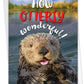 NobleWorks - Fun Congratulations Card with Envelope - Congrats Humor, Encouragement Greeting - Otterly Awesome C6574FCGG