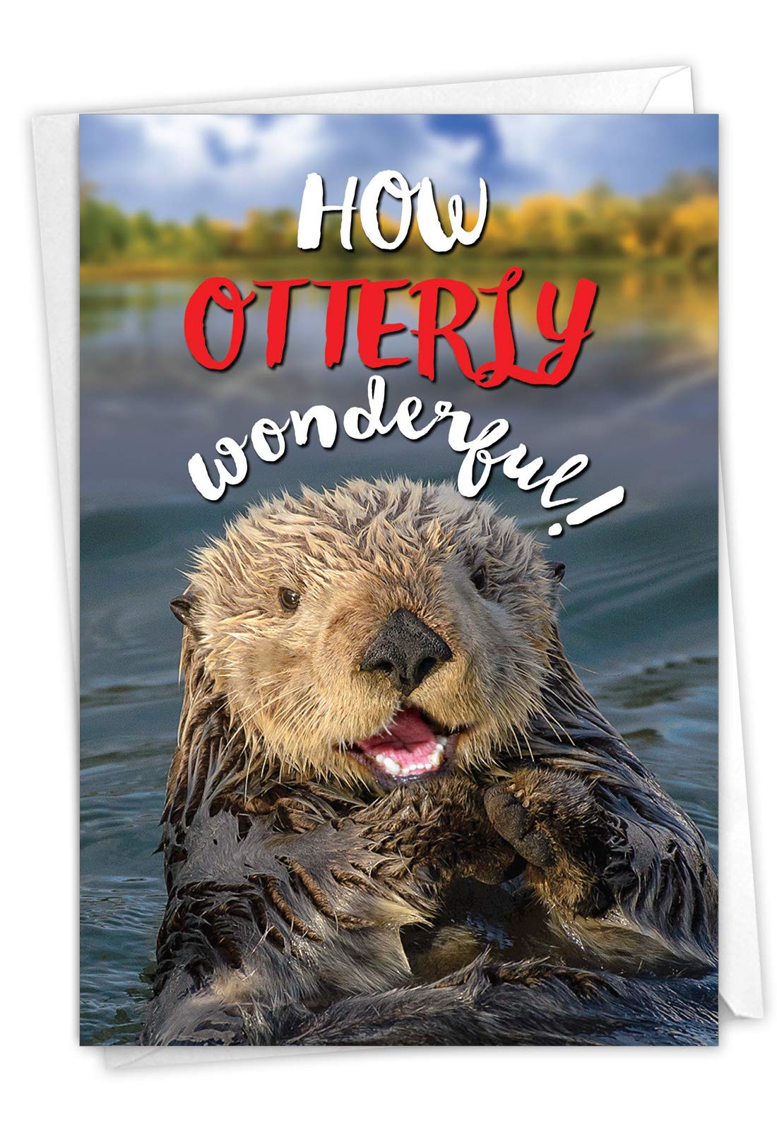 NobleWorks - Fun Congratulations Card with Envelope - Congrats Humor, Encouragement Greeting - Otterly Awesome C6574FCGG