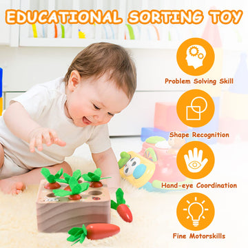 Montessori Toys for 1 Year Old, Carrots Harvest Wooden Baby Toys for 6-12 Months Educational Shape Sorting Matching Toys for Tod