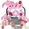 chochumy Baby Spiral Car Seat Toys for Babies 0-6 Months Girl, Stroller Hanging Stuffed Animals Carseat Activity Toy 0-3-6-12 Mo