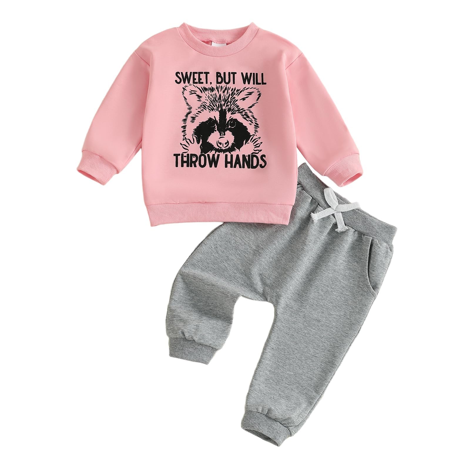 Toddler Baby Girl Fall Outfit Letter Print Sweatshirt Tops Elastic Waist Pant Cute Infant Newborn Winter Clothes Set (Raccoon Pi