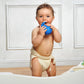 caaocho Pure Natural Rubber Bath Toy - Kala The Whale Baby Toy - Hole Free Bath Toys, BPA Free Bath Toys for Infants, without Ho