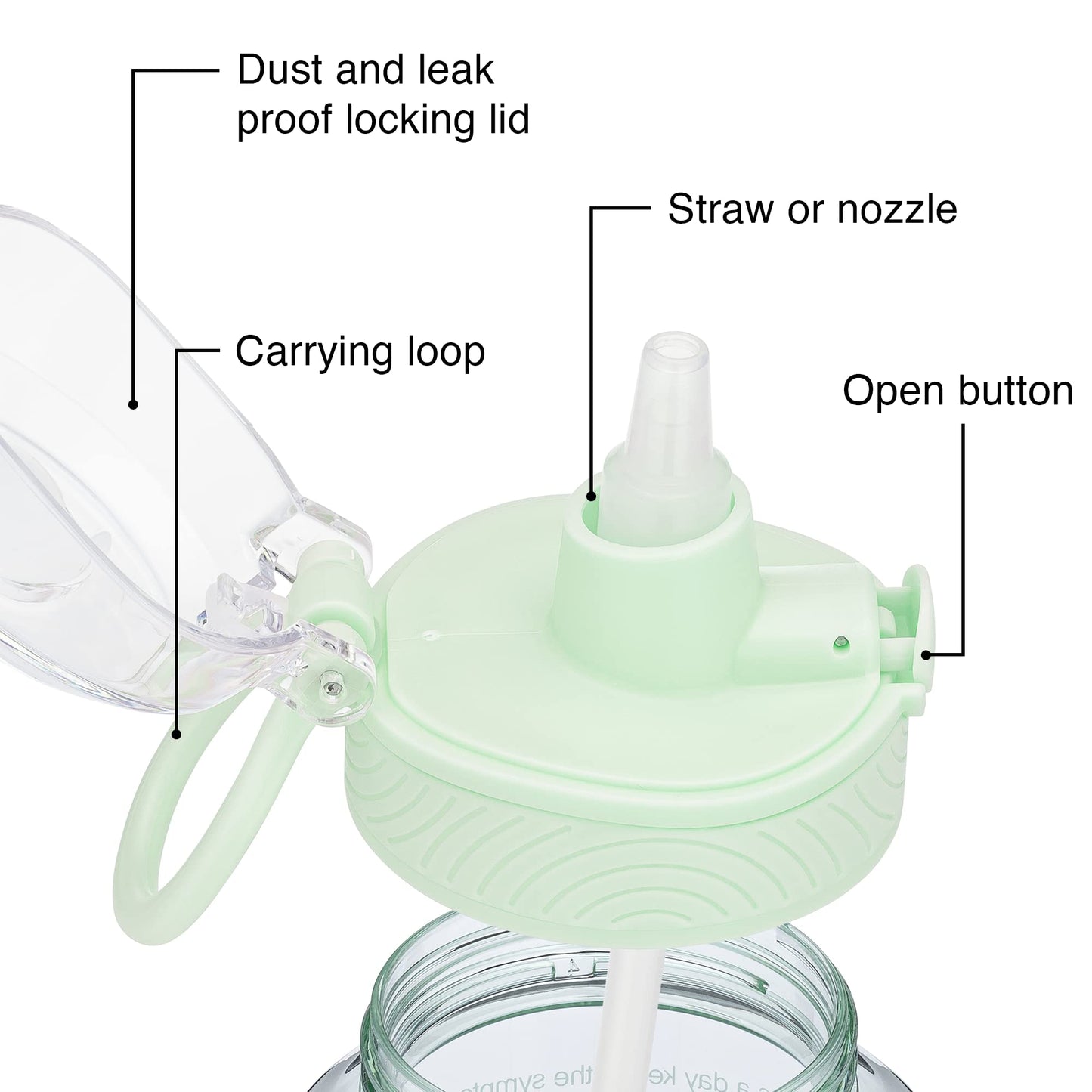 BellyBottle Pregnancy Water Bottle Tracker Must Haves for Expecting Moms Nausea Relief + Straw + BPA Free Green