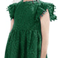 2Bunnies Girl Baby Toddler Vintage Lace Pom Pom Flutter Sleeve Easter Birthday Outfit Dress (Green, 12M)