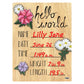 Cohas Hello World Newborn Baby Announcement Printed Wood Sign With Mixed Flower Theme, 9 By 12 Inches, No Marker