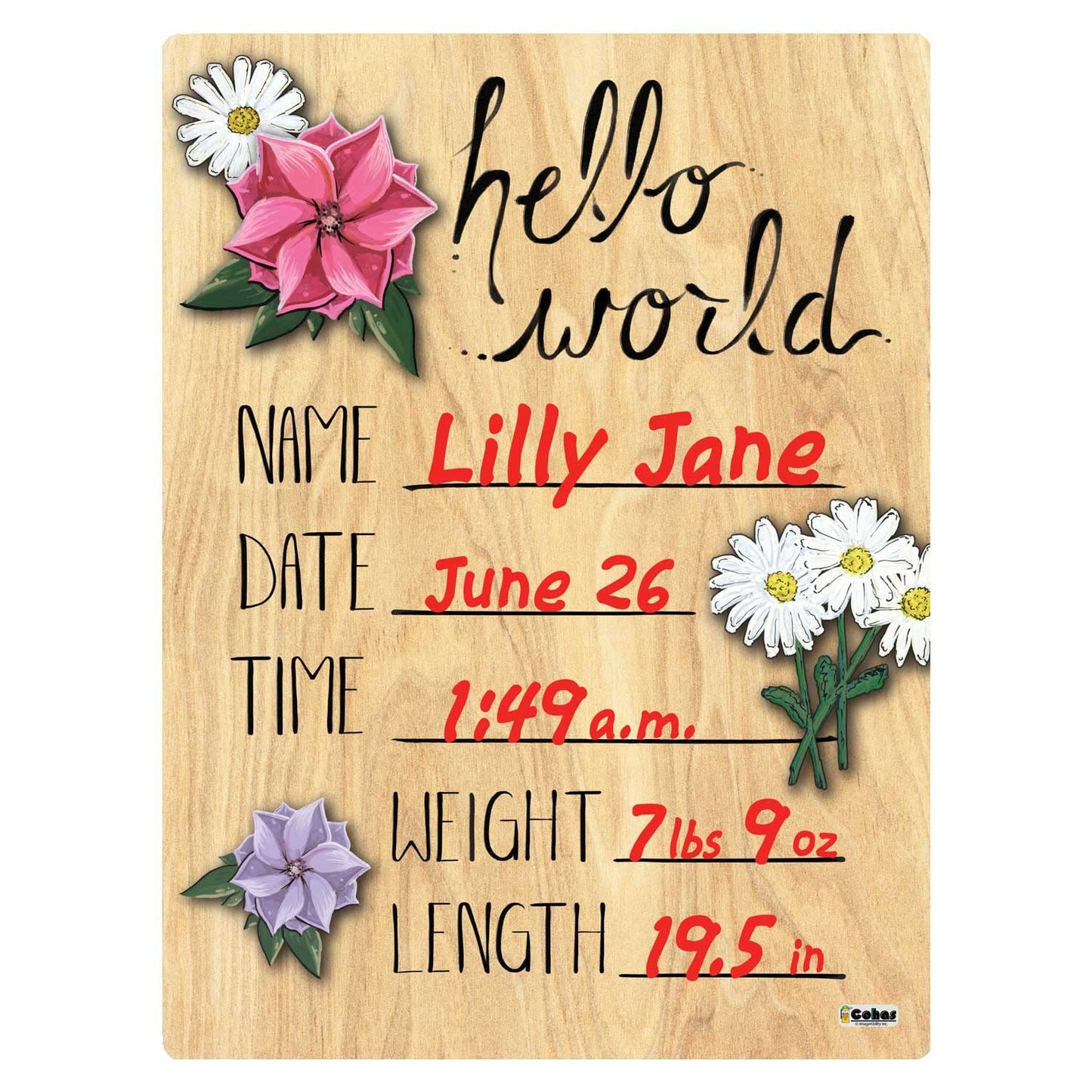 Cohas Hello World Newborn Baby Announcement Printed Wood Sign With Mixed Flower Theme, 9 By 12 Inches, No Marker