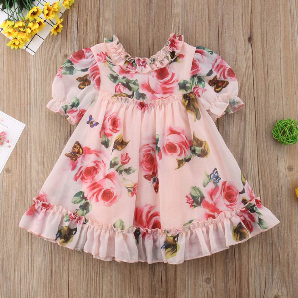 Toddler Baby Girls Flower Print Ruffles Princess Dress Sundress Clothes Outfit (2-3 T, Pink)