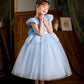 Hulaha Girls Princess Fancy Dress Kids Halloween Cosplay Dress Up Costume Sets For Cinderella3-4T